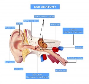 Vestibular-Rehab